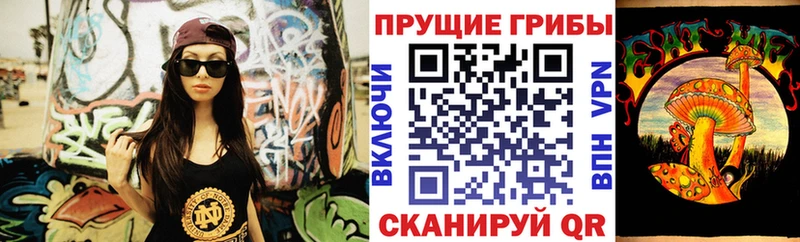 купить наркотики сайты  Таштагол  Галлюциногенные грибы GOLDEN TEACHER 